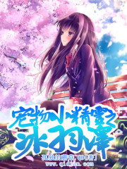 《宠物小精灵之冰羽泽》（校对版全本）作者：孤独的蘑菇.QD