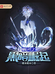 《精灵之黑暗崛起》（校对版全本）作者：槿木槿木