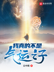 《我真的不是气运之子》（校对版全本）作者：云中殿
