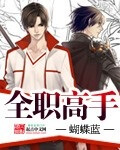 《全职高手》(精校版全本)作者:蝴蝶蓝