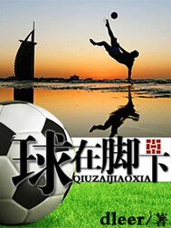 《球在脚下》（校对版全本）作者：dleer